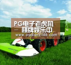 关于PG电子老虎机