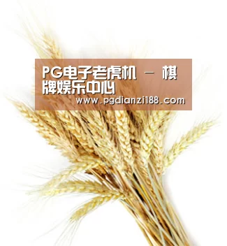 PG电子老虎机 - 棋牌娱乐中心