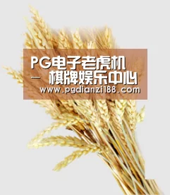 PG电子老虎机 - 棋牌娱乐中心